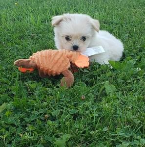 Meet your Posher, Marie-eve